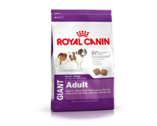 Royal Canin Giant Adult karma sucha dla psów dorosłych, od 18 / 24 miesiąca życia, ras olbrzymich